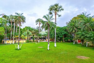 Jardín