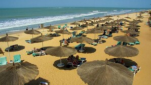 Een strand met rijen ligbedden en rieten parasols.