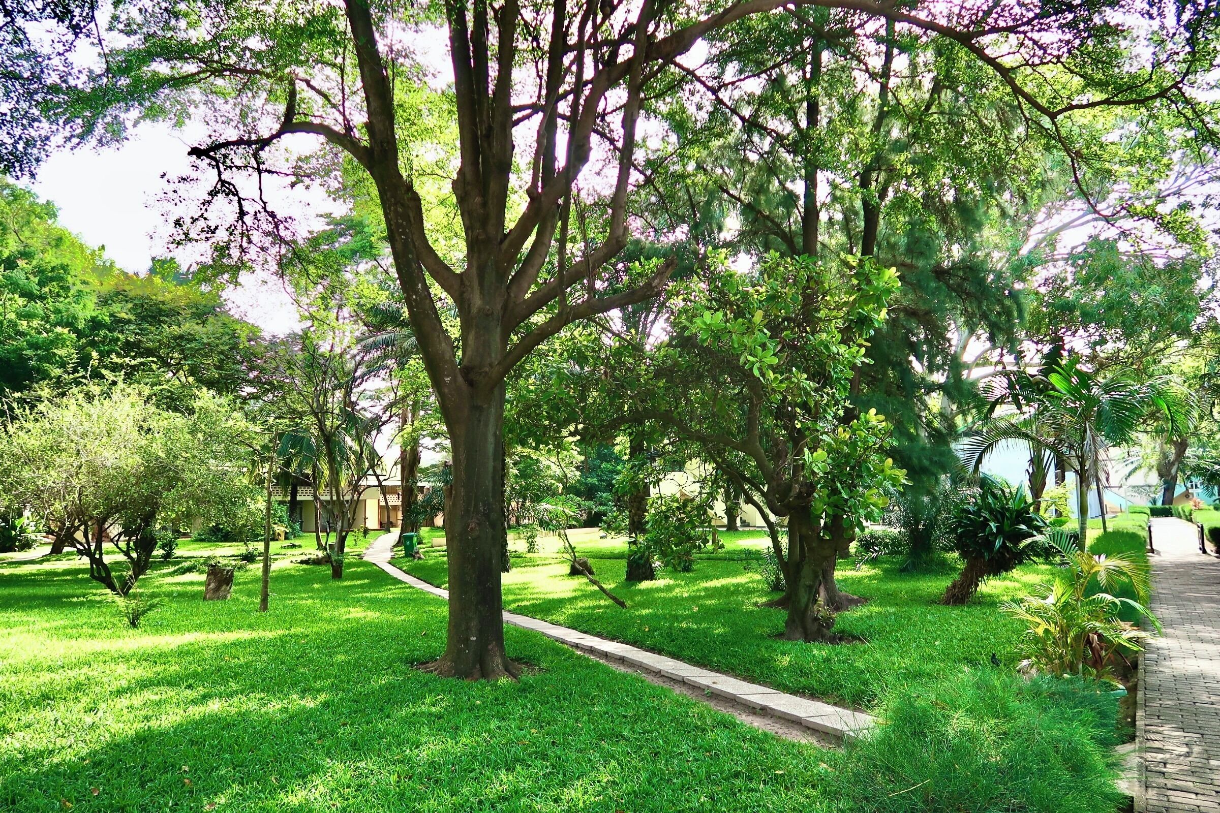 A park with a pathway, trees, and a building in the background.