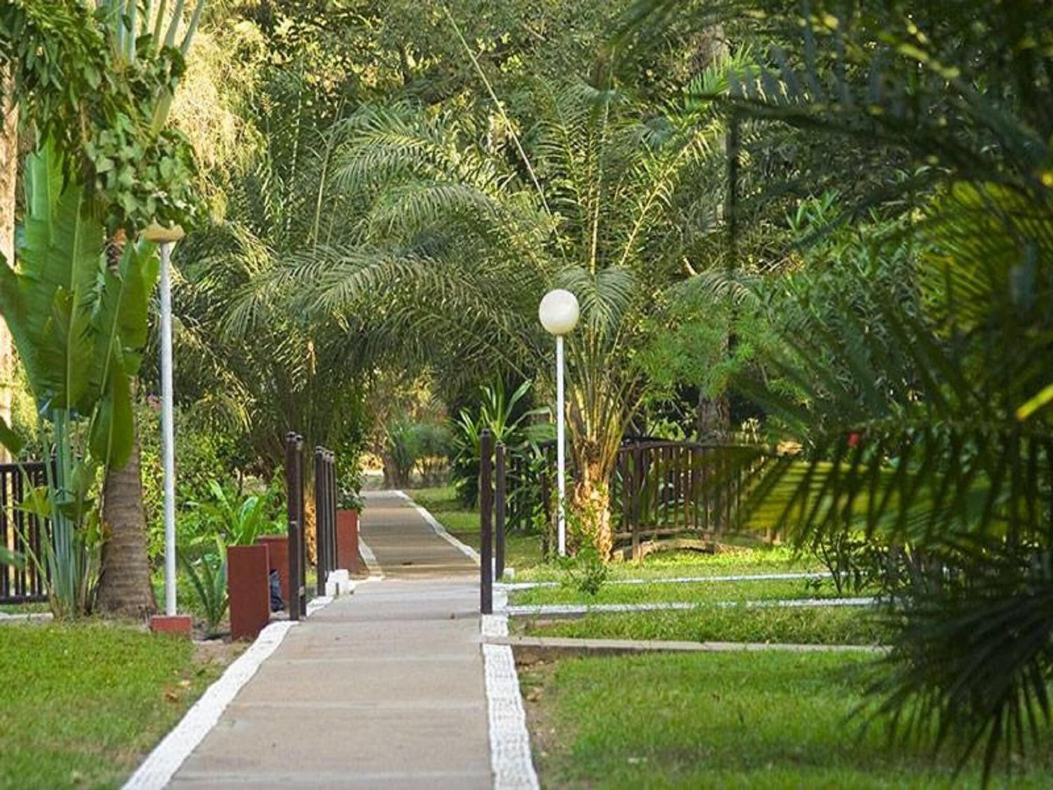 A pathway lined with lush greenery and palm trees, leading towards a distant structure.