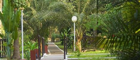 A pathway lined with lush greenery and palm trees, leading towards a distant structure.