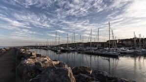 Een jachthaven met meerdere zeilboten afgemeerd, een rotsachtige golfbreker en gebouwen op de achtergrond.