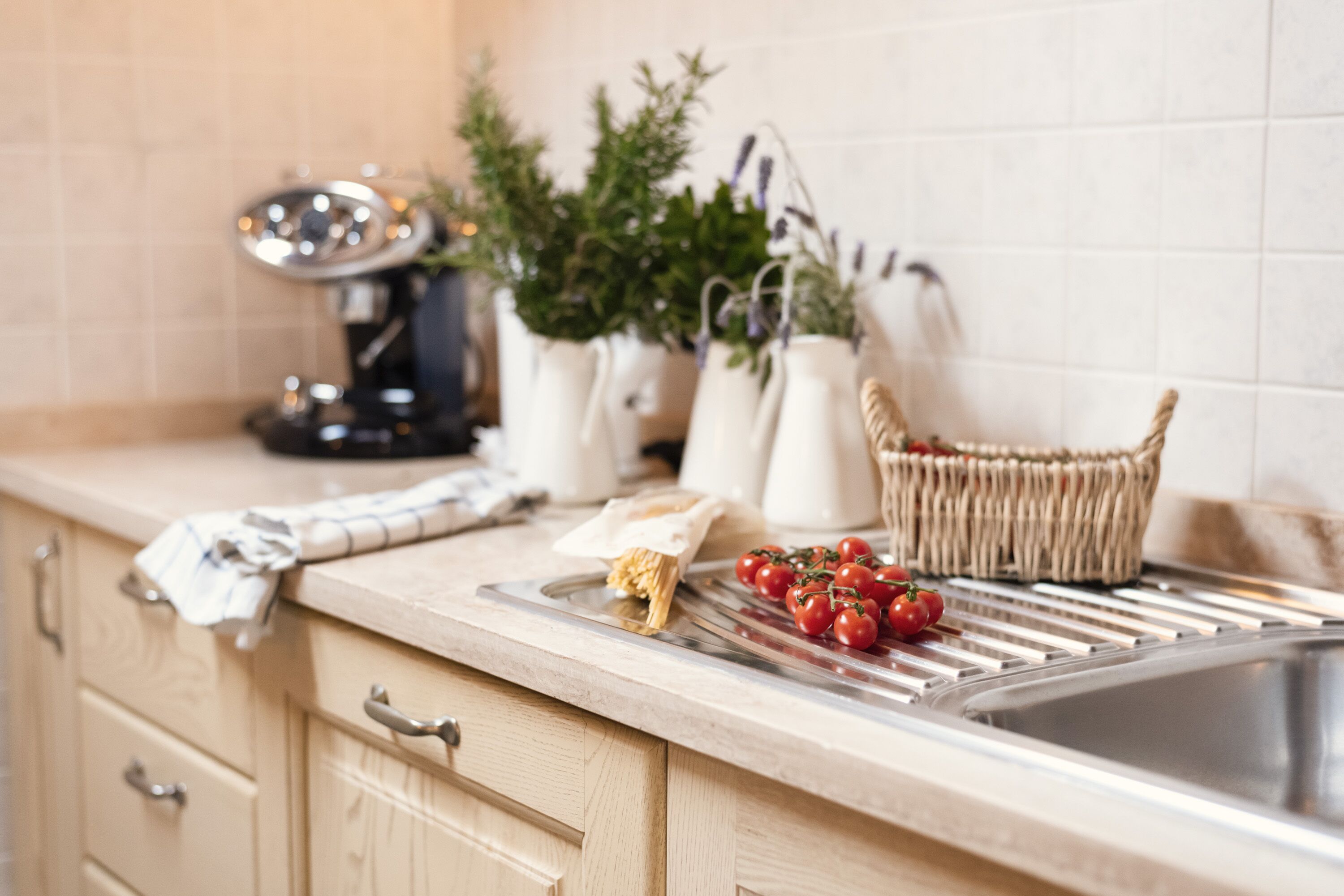 Una encimera de cocina con un lavamanos, una cesta y una planta.