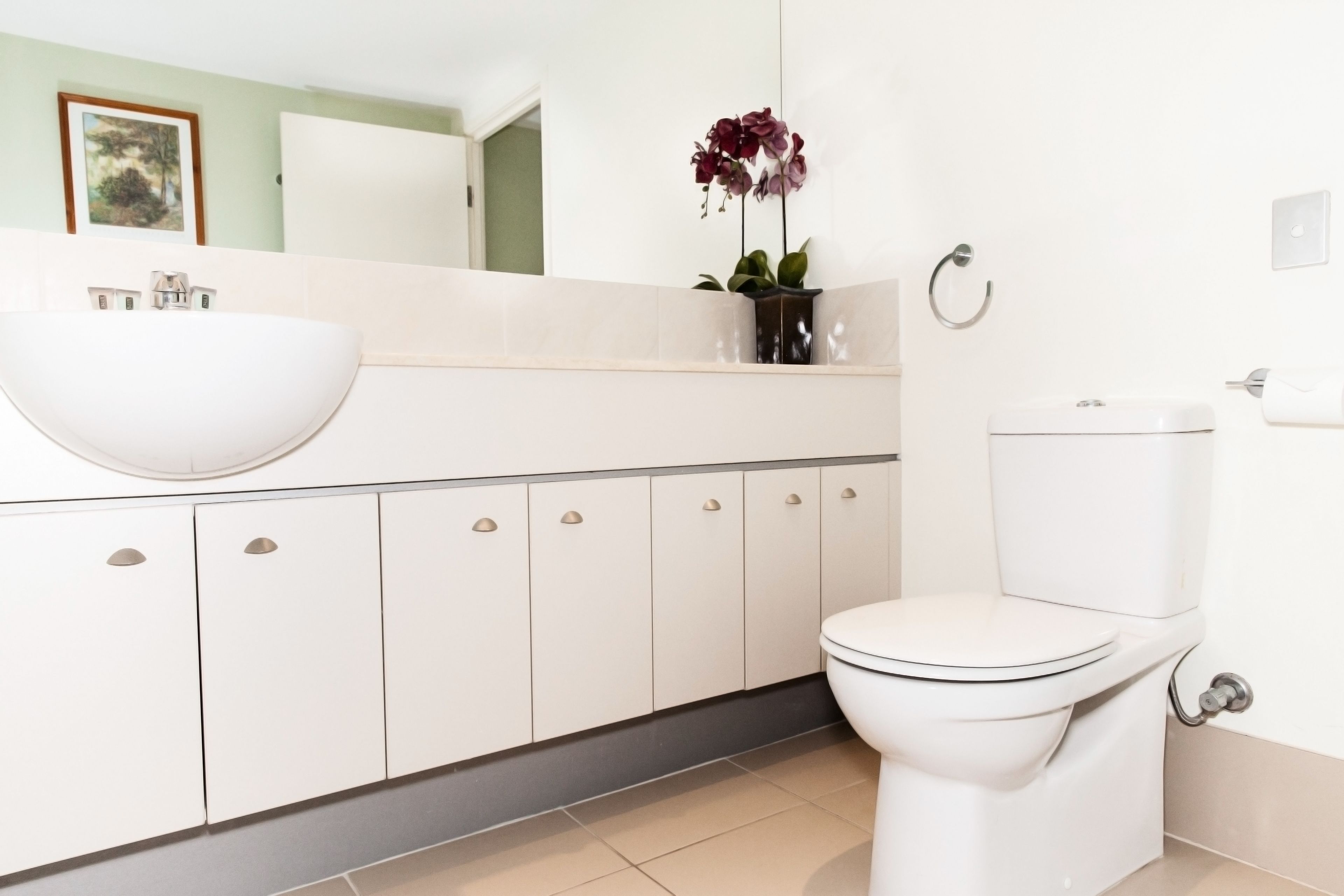 free toiletries, hair dryer, towels, soap