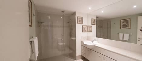 Une salle de bain moderne dotée d’une douche à parois de verre, d’un grand miroir et d’un meuble-lavabo avec un évier et un placard.