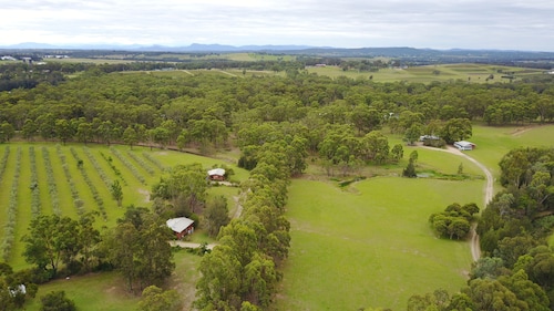 Cabins on Halls