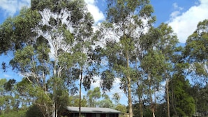 Un bâtiment entouré d’arbres, situé dans une zone herbeuse.