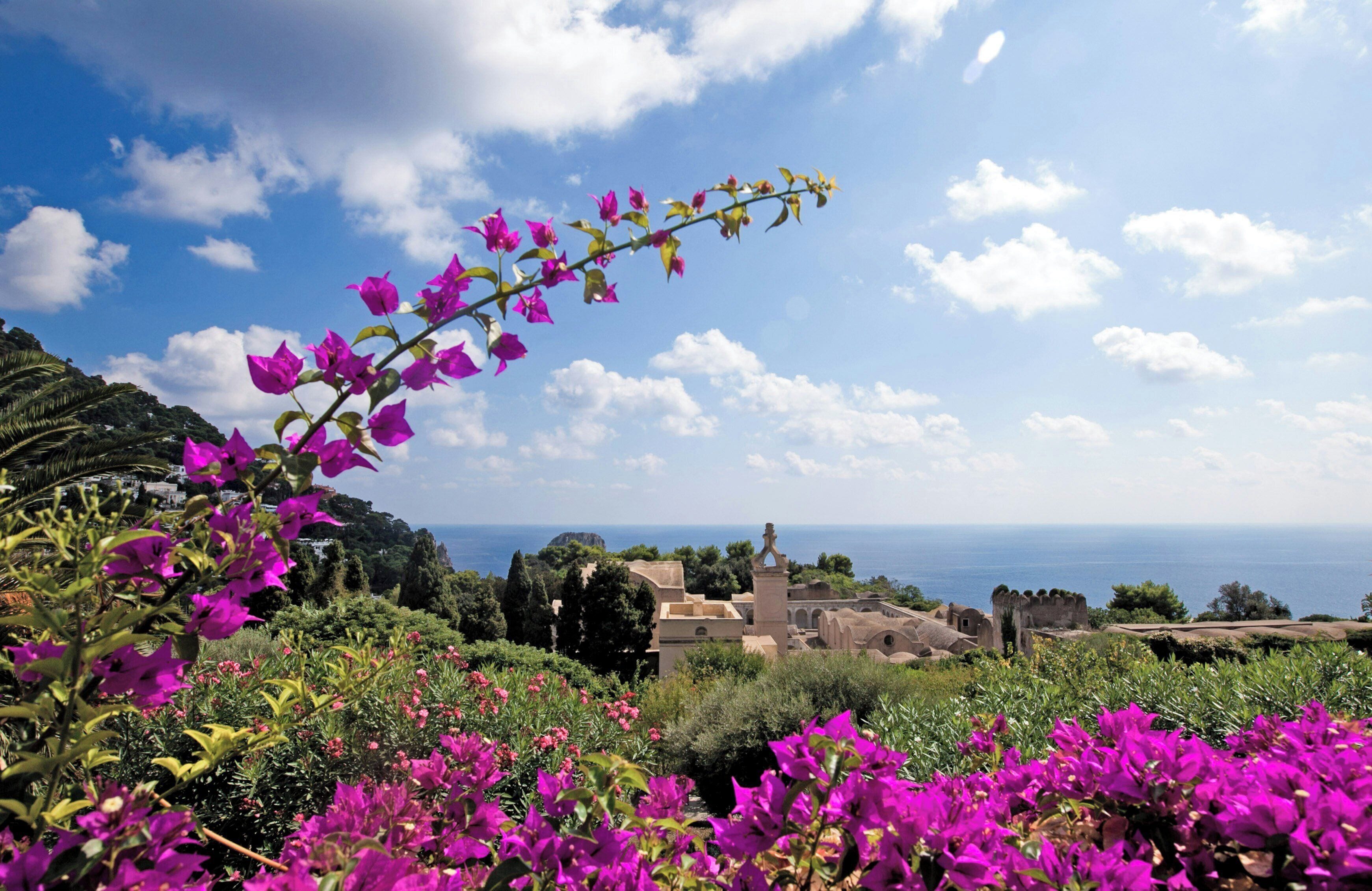 Foto - Sina Flora Capri