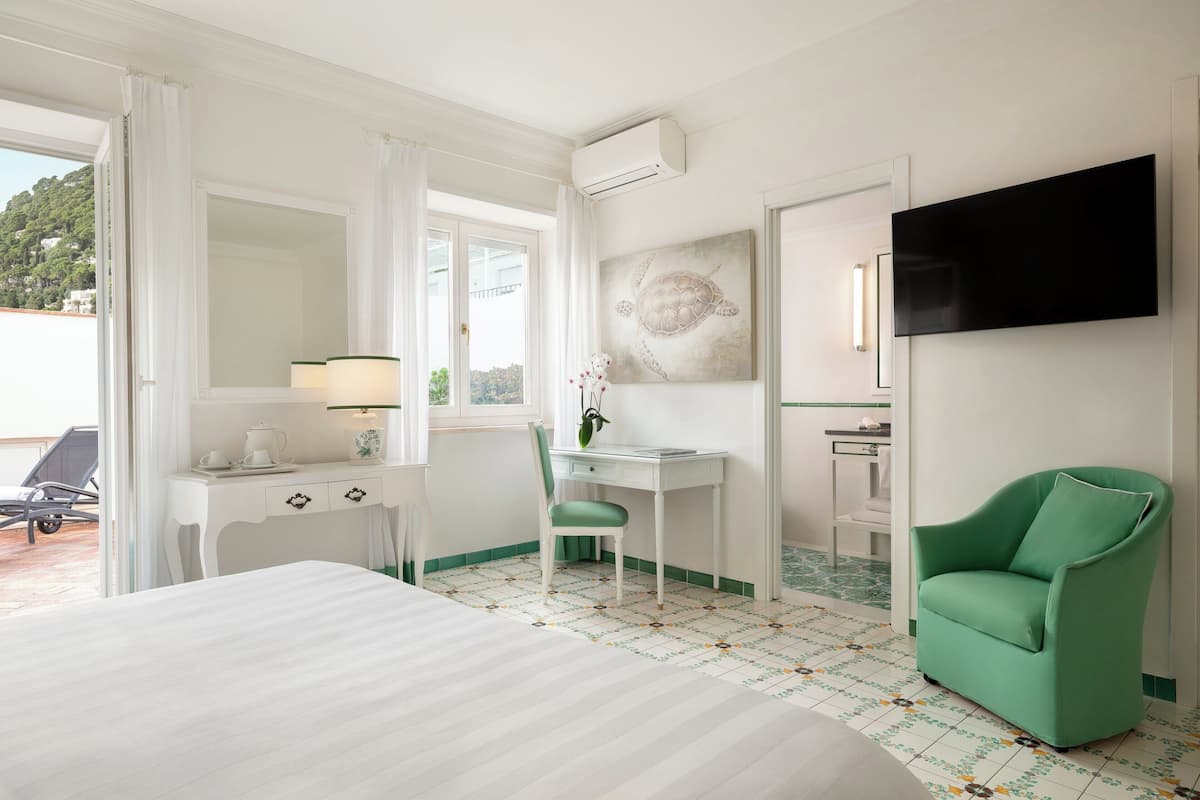 Deluxe Double Room | Minibar, in-room safe, desk, free WiFi