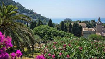 Paisaje costero con vista al mar, abundante vegetación y una estatua.