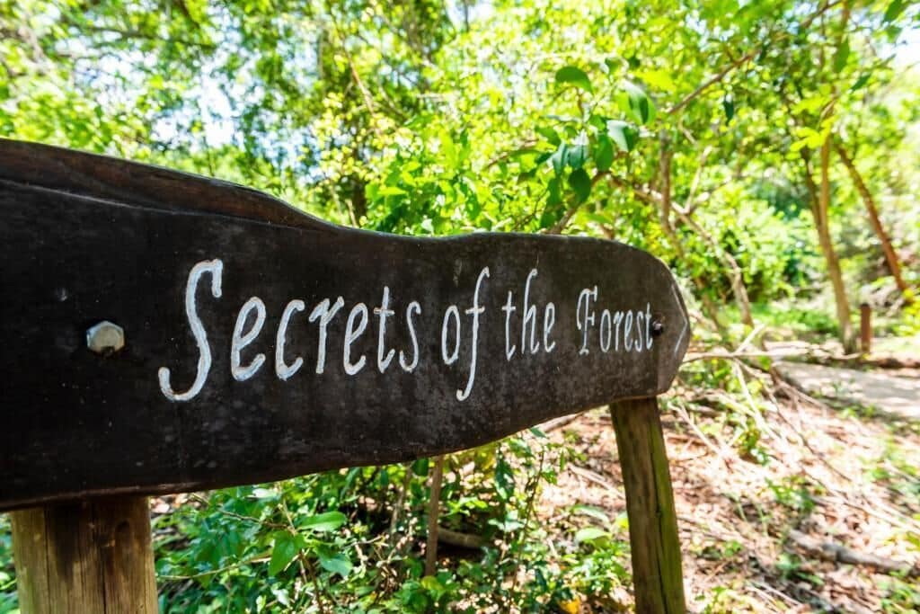 A wooden sign with the text 'Secrets of the Forest' in a natural setting.