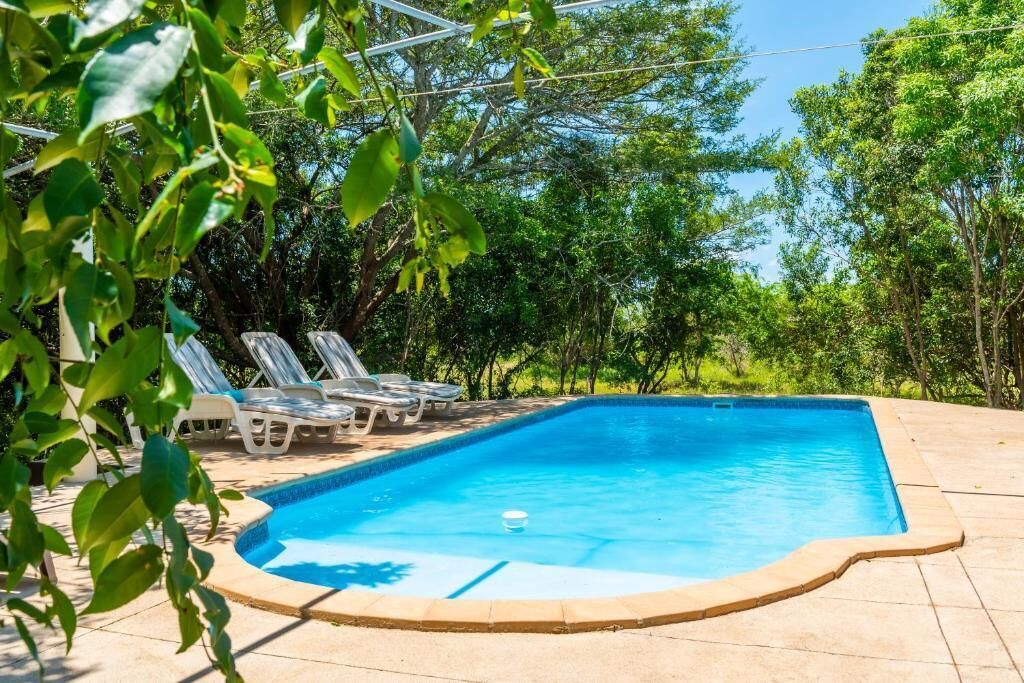 A swimming pool with a tiled edge, surrounded by lounge chairs and greenery.