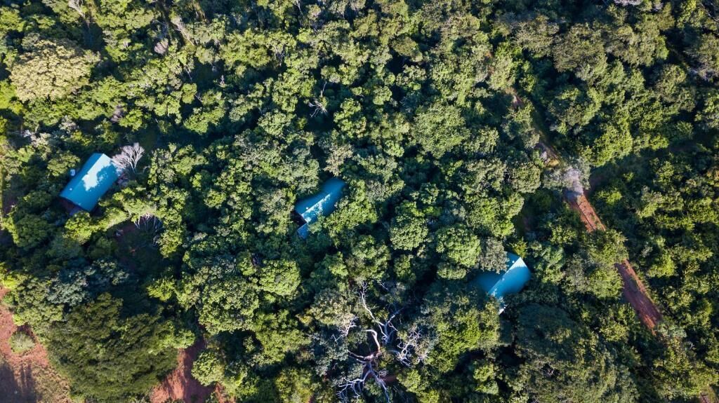 Vista aerea di una zona boschiva con tre edifici dai tetti blu.