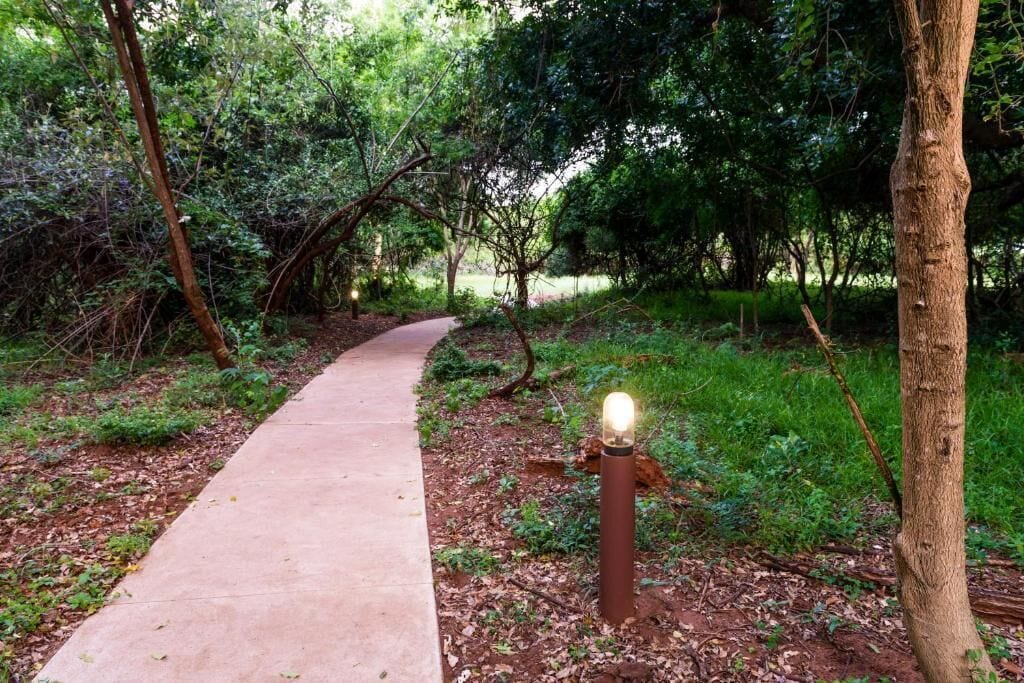 A concrete pathway in a wooded area with a single light post.