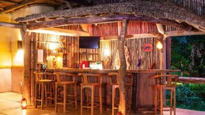 Un espace bar extérieur avec des tabourets en bois, un toit de chaume et un téléviseur fixé au mur.