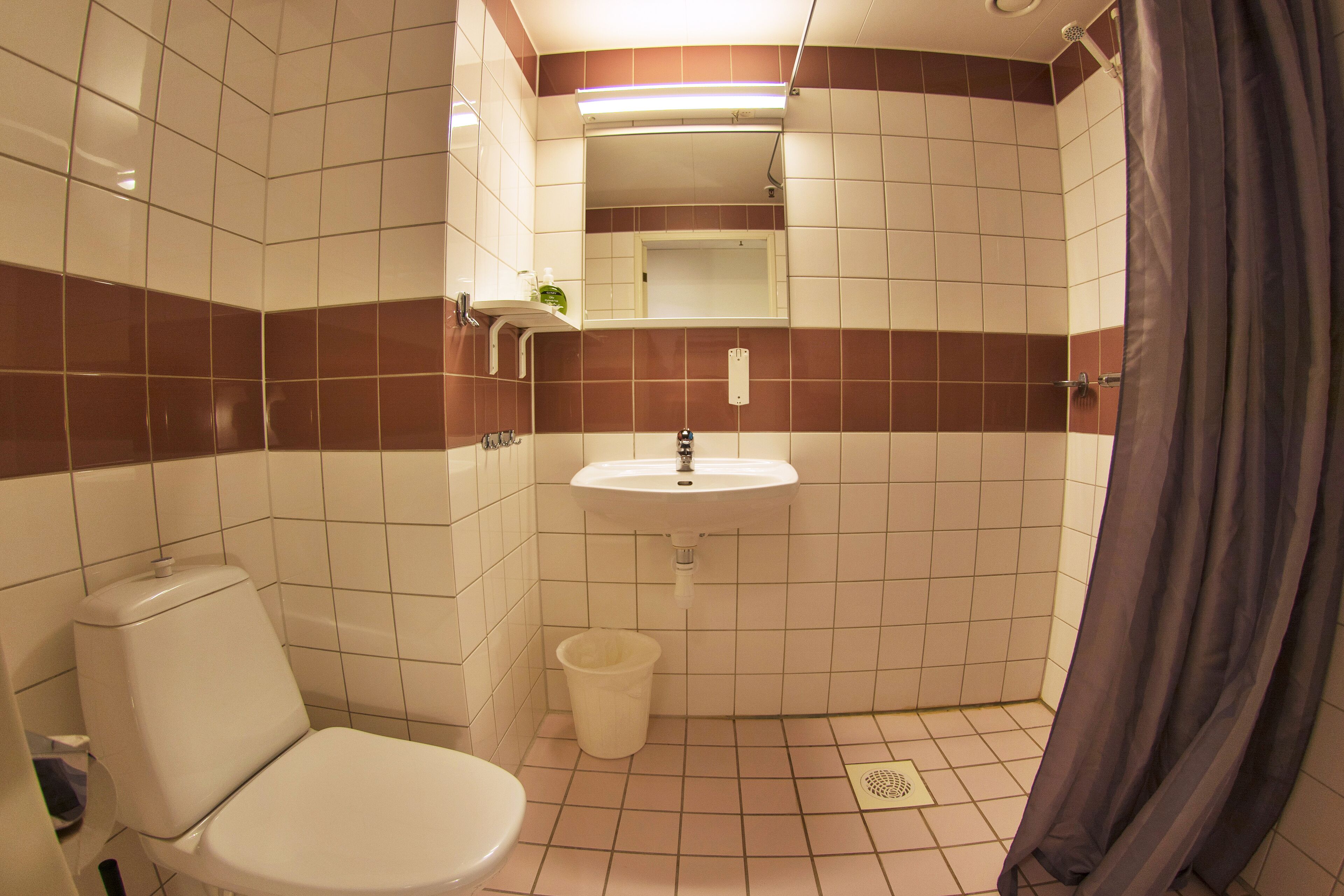A bathroom with a toilet, sink, and shower.