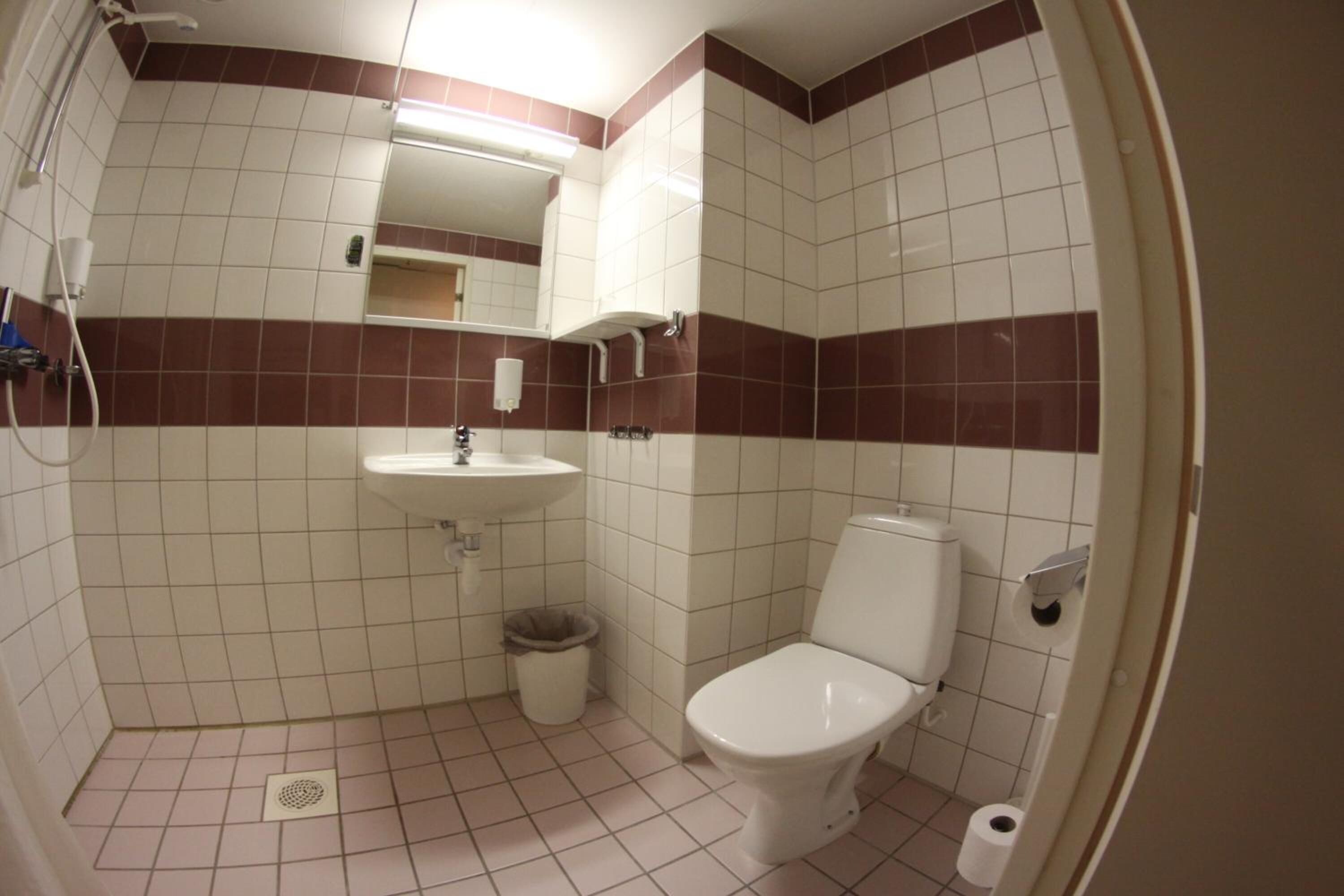 Un baño con inodoro, lavabo y ducha.