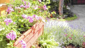 A garden with potted plants and flowers, a brick wall, and a tree. - Kirios (Nessebar)