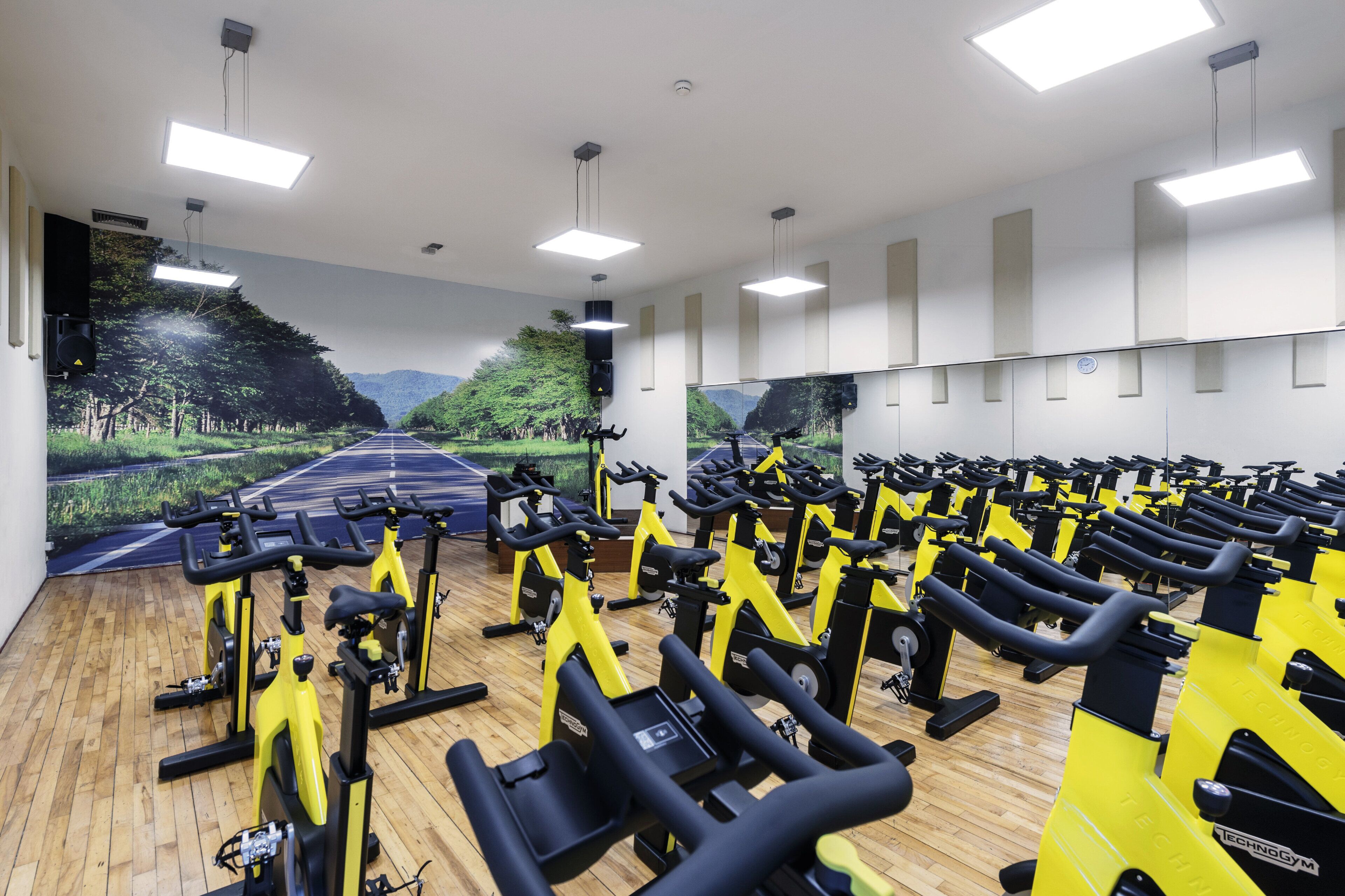A gym with multiple exercise bikes arranged in rows, a mural of a road and greenery on the wall, and a wooden floor.