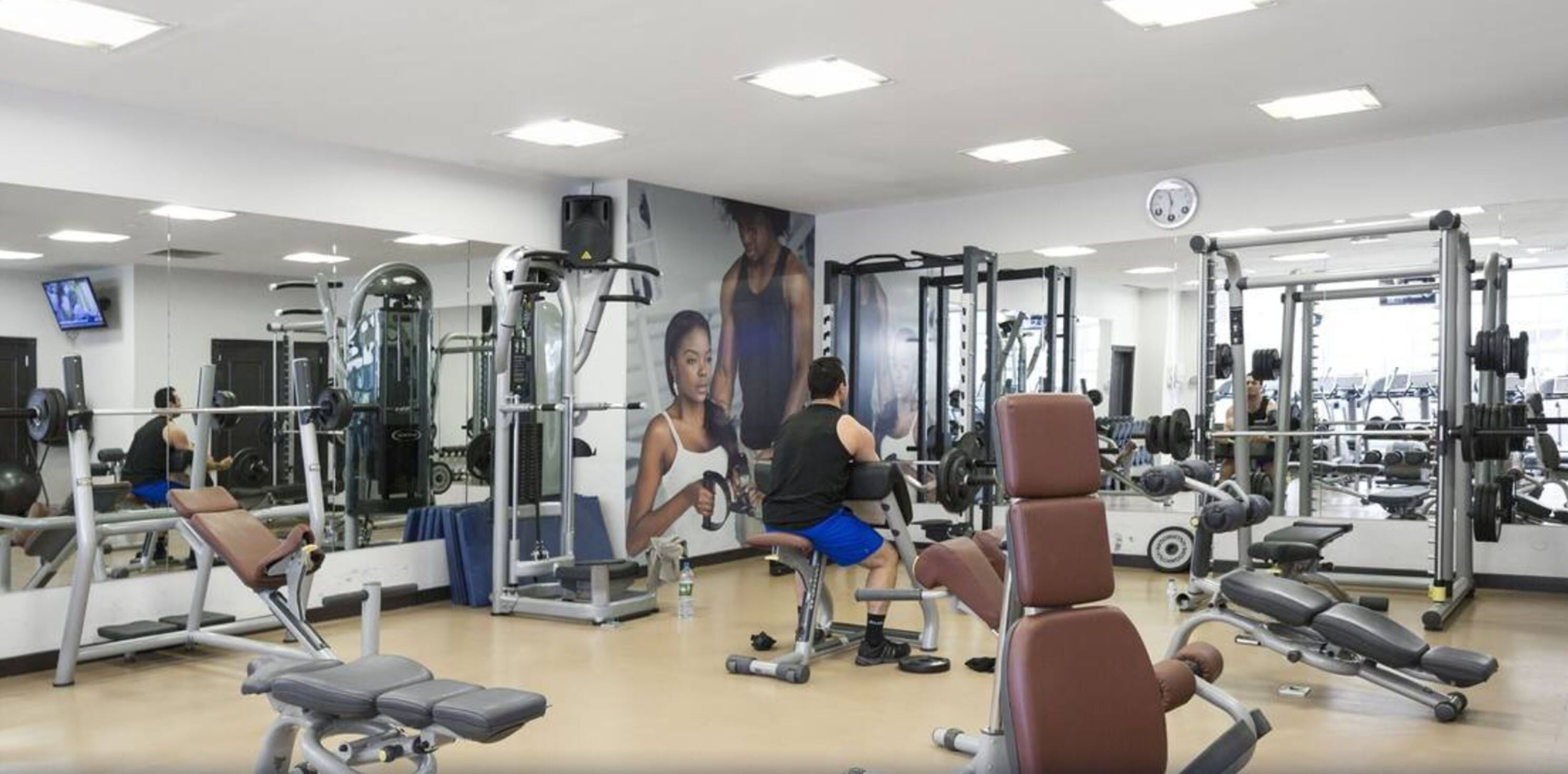 Une salle de sport équipée de divers appareils d’entraînement, notamment des machines à poids et des poids libres.