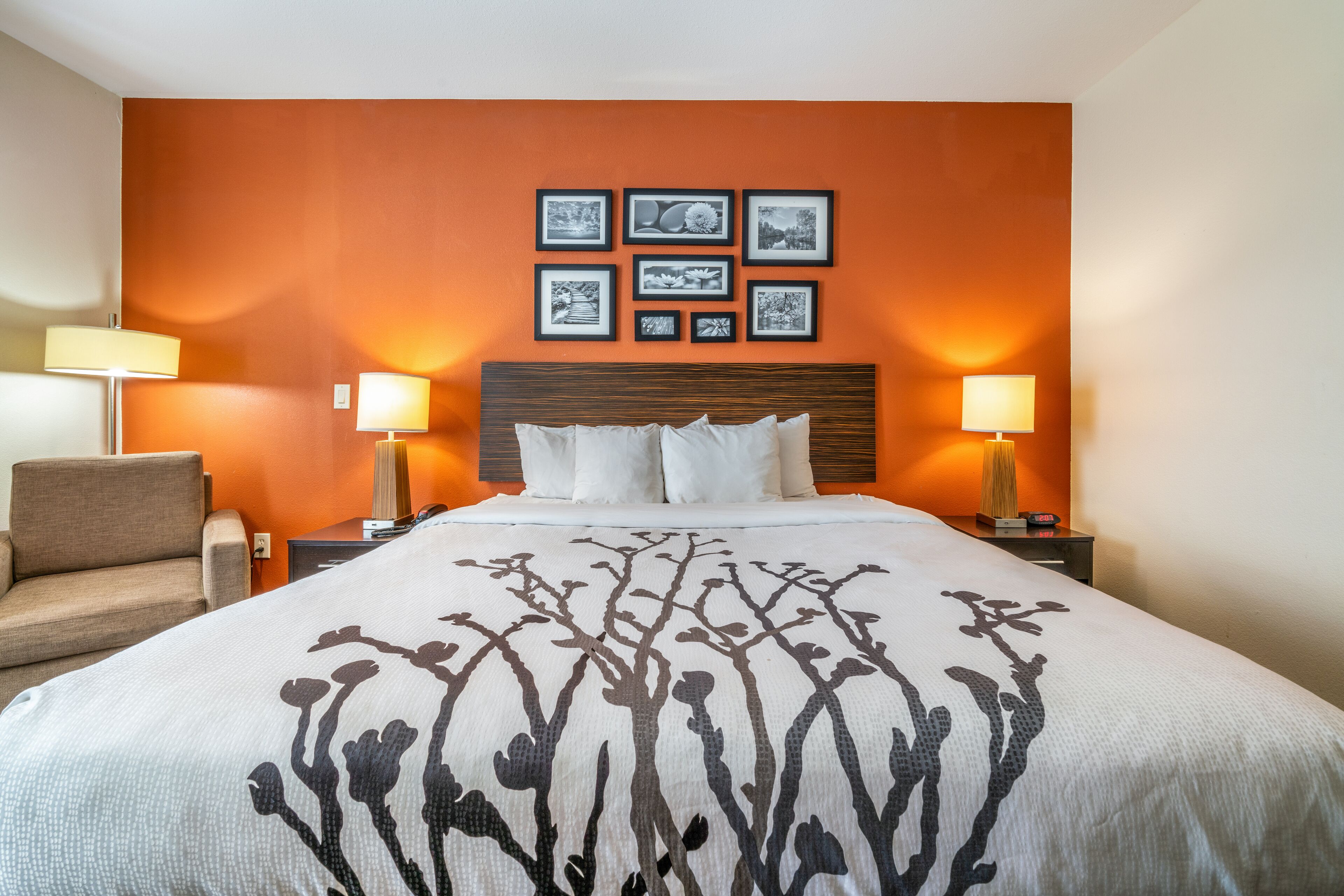 room, 1 king bed, accessible, non smoking | premium bedding, desk, laptop workspace, free wifi