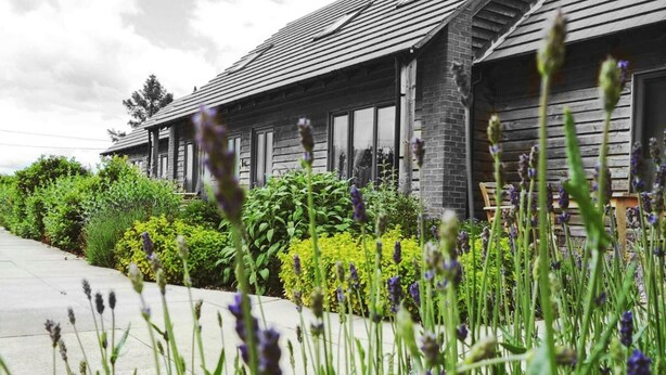 Exterior - Elm Tree Farm Accommodation (Milton Keynes)
