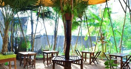 Blatha Tropical Rooms Holbox