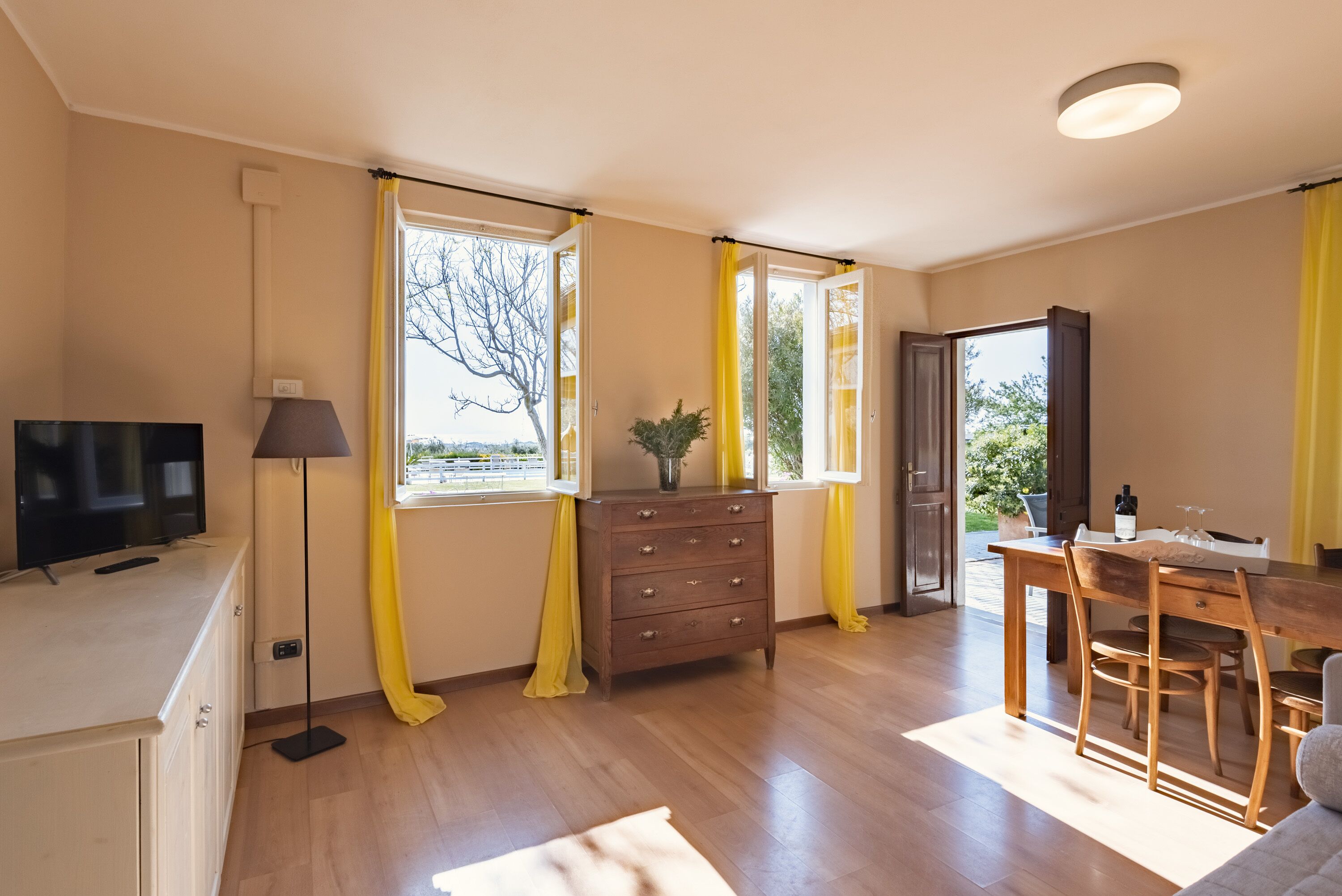 A well-lit room with a wooden dining table, a TV on a cabinet, and a plant on a dresser.