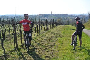 Ciclismo