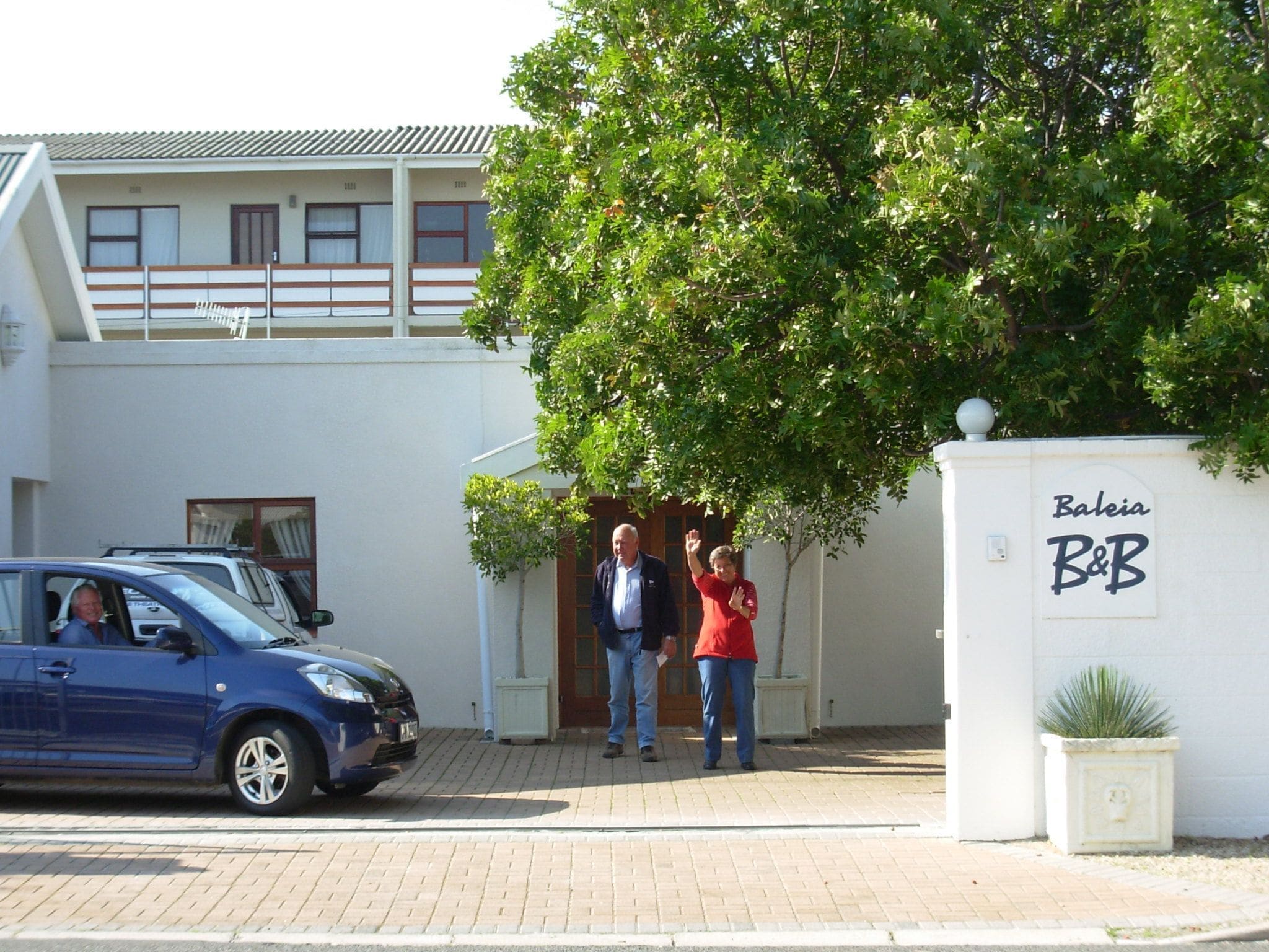 Un edificio con un letrero que dice "Baleia B&B" y un árbol en la entrada.