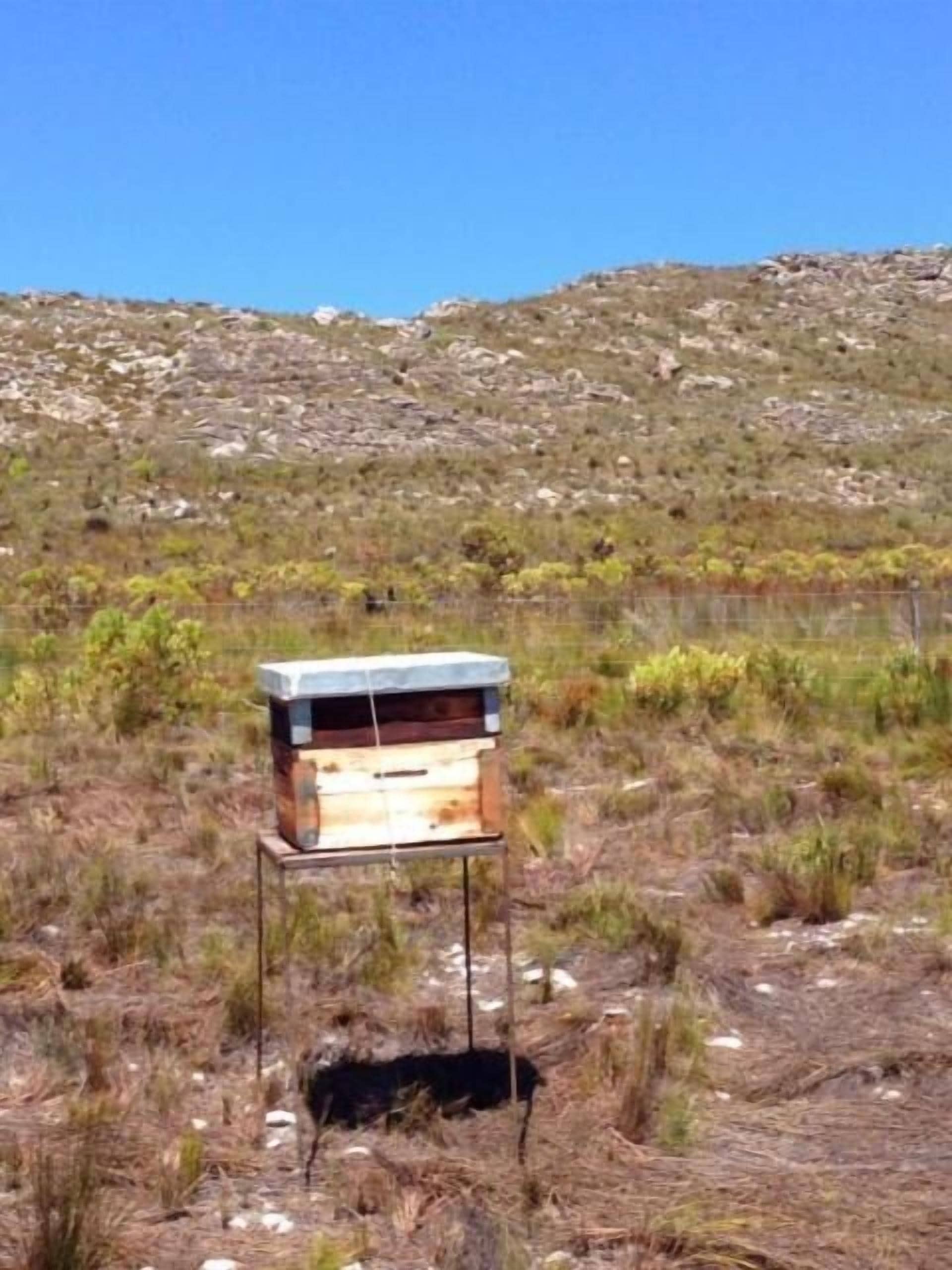 A beehive on a stand in a natural, rocky landscape.