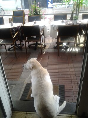 Mặt tiền nơi lưu trú - ban đêm