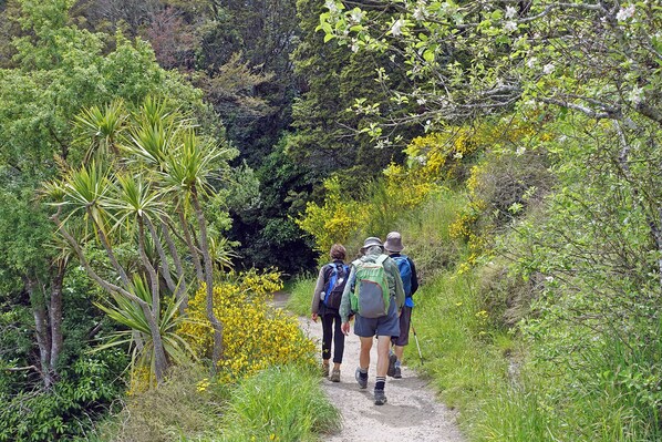 Un grupo de excursionistas en un sendero de tierra rodeado de vegetación exuberante y flores amarillas.