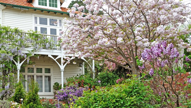 A white house with a porch and a garden with various flowering plants.