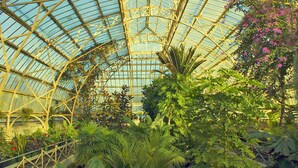 A large greenhouse with a glass ceiling and various tropical plants.