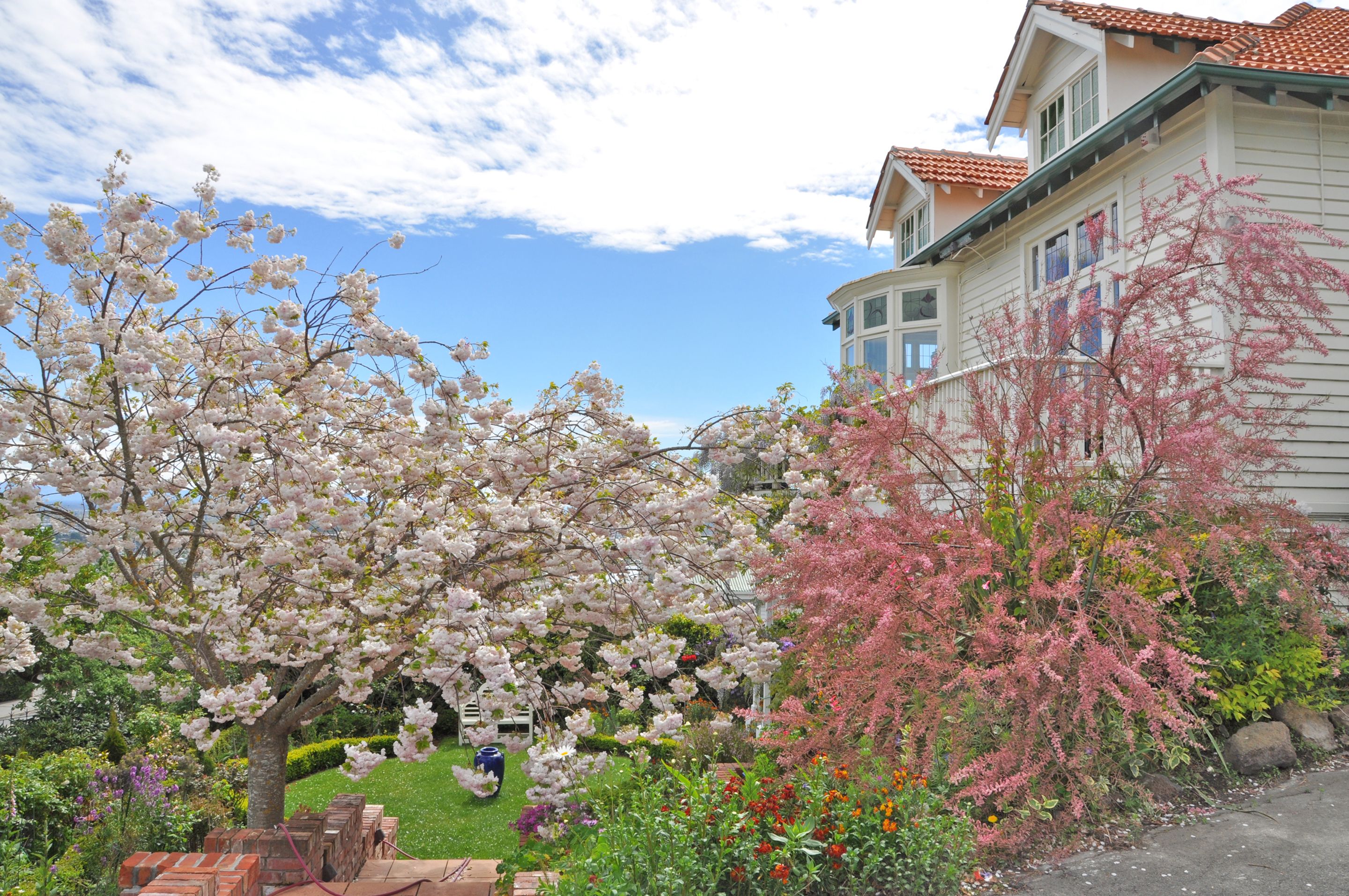 A garden with cherry blossoms and a house with a red-tiled roof.