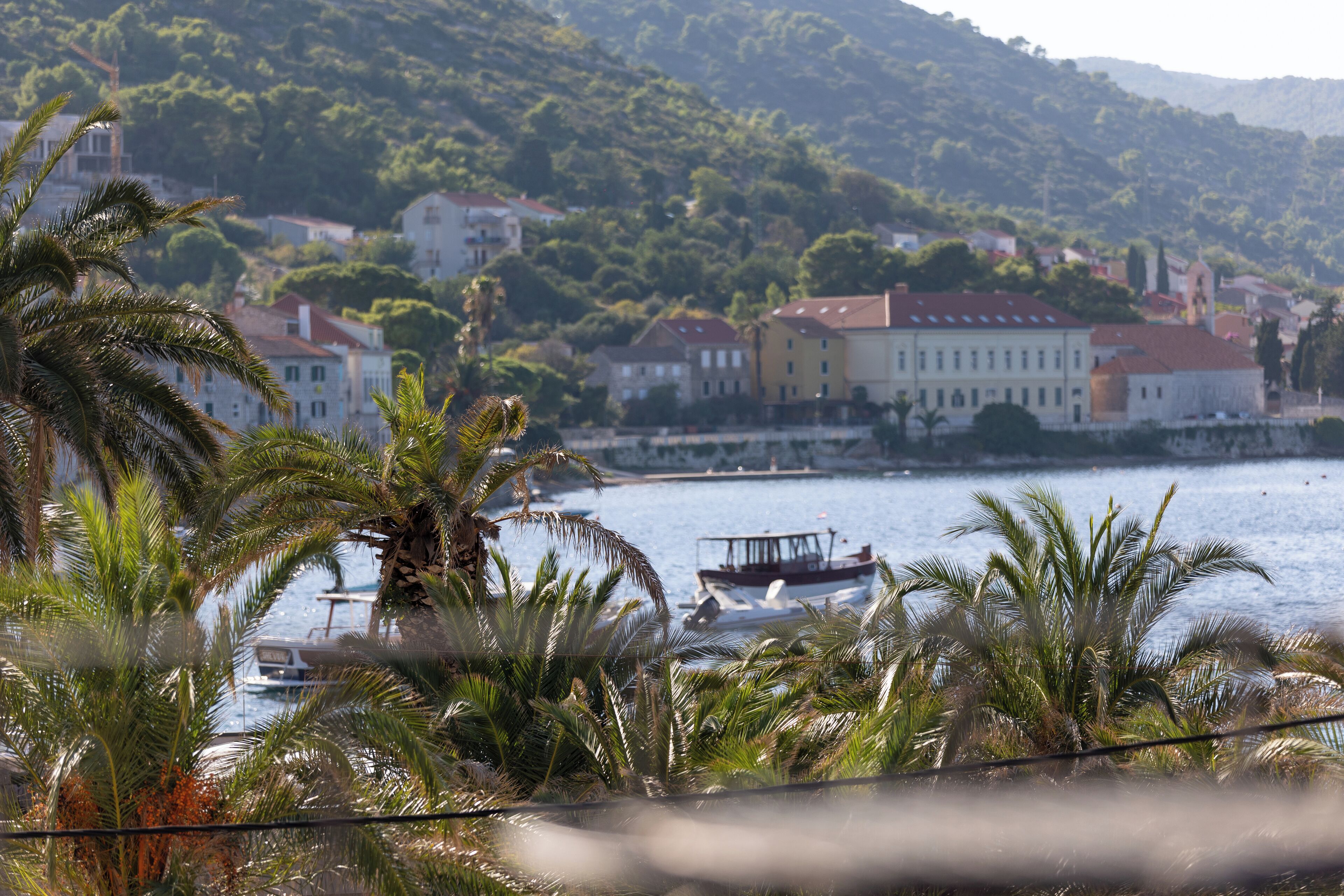 A coastal town with buildings along the waterfront, a boat docked near the shore, and palm trees in the foreground.