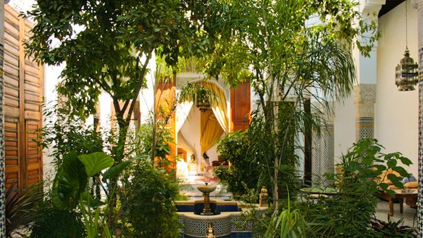 A courtyard with a fountain, surrounded by lush greenery and traditional Moroccan tile flooring.
