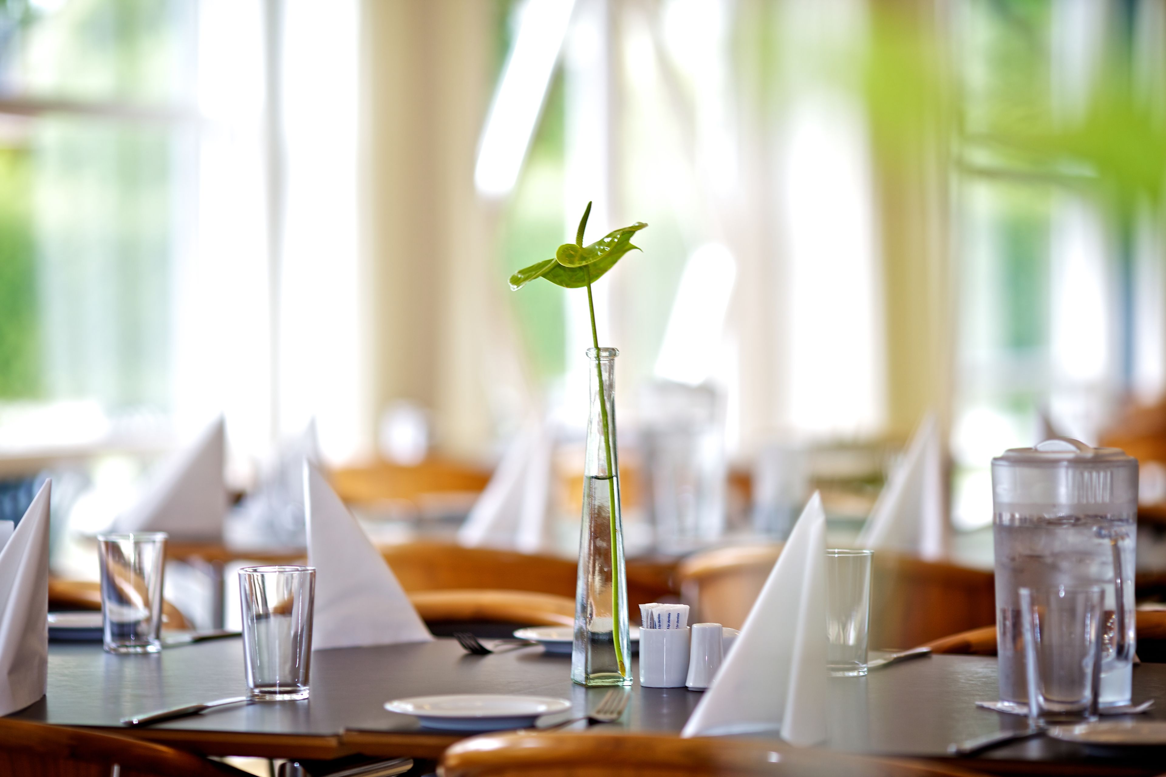 Una mesa de comedor dispuesta con vasos transparentes, un florero con una hoja verde y servilletas dobladas con cuidado.