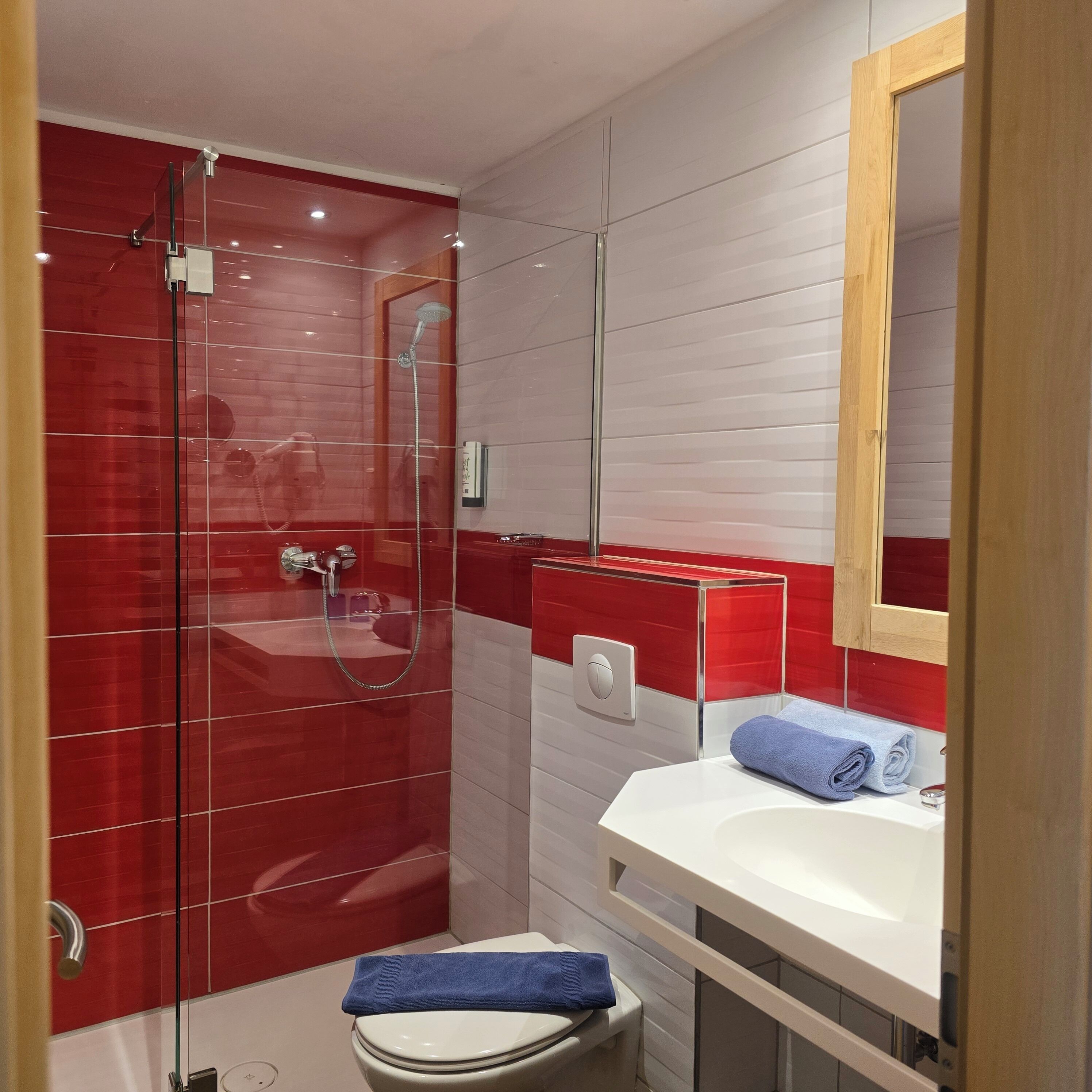 Un baño con ducha envuelta en vidrio, inodoro blanco y lavabo con espejo.