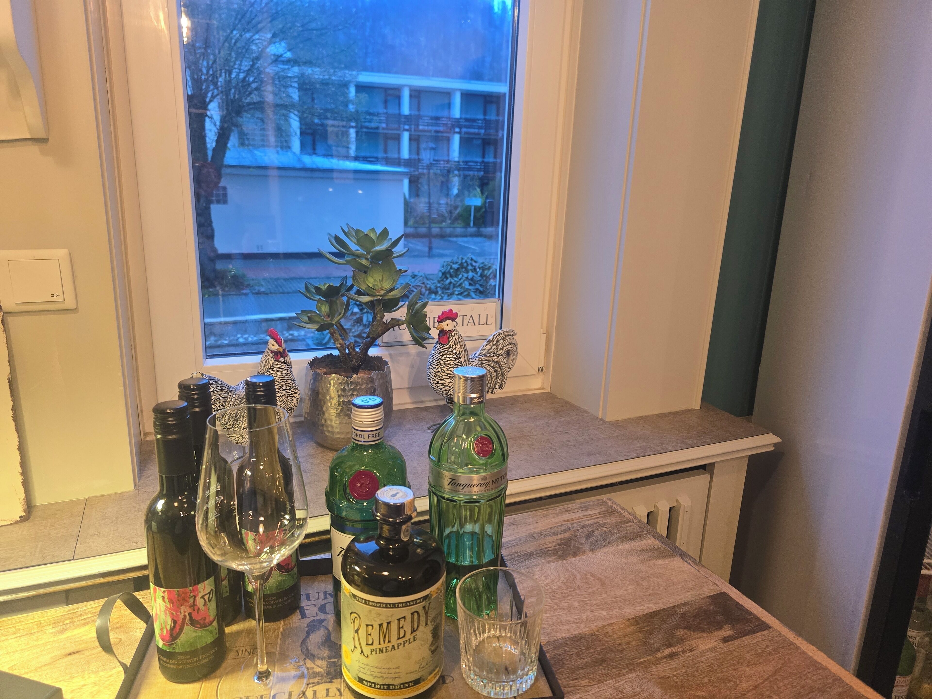 En køkkenbordplade med diverse flasker og glas, et vindue med udsigt til en bygning og træer, samt en lille sukkulentplante.
