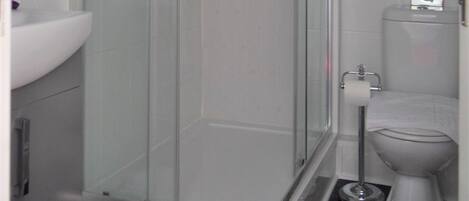 A modern bathroom with a glass-enclosed shower, a white sink, and a toilet.