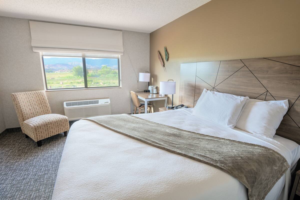 A hotel room with a large bed, a chair, a desk, and a view of the outdoors.