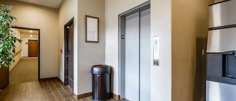 A hallway with a trash can, a door with a number, and a plant.