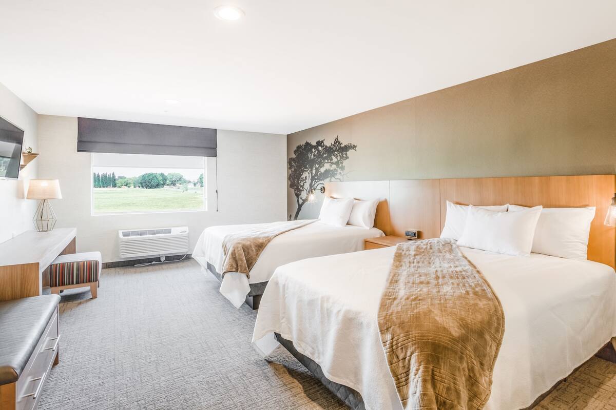 A hotel room with two beds, a desk, a chair, a lamp, and a view of a green landscape.