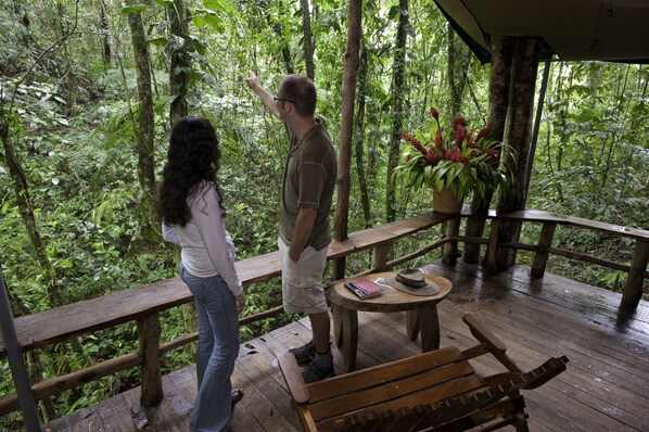 Tienda de campaña estándar, 2 camas Queen size | Terraza o patio