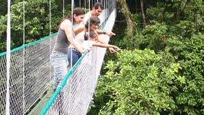 Sports facility - Hacienda Pozo Azul (Sarapiqui)