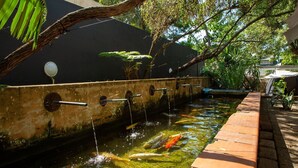 Un bassin à carpes koï agrémenté d’éléments décoratifs aquatiques et d’une passerelle en bois.
