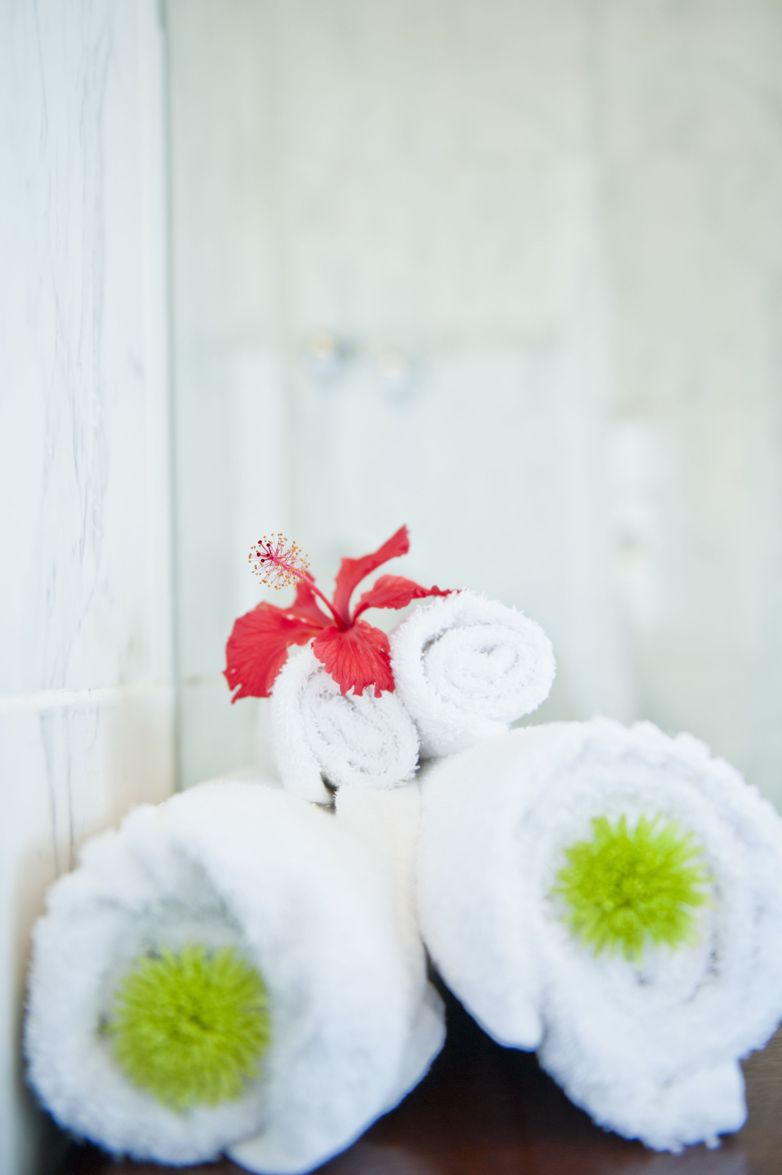 superior room | bathroom amenities | rainfall showerhead, designer toiletries, hair dryer, towels