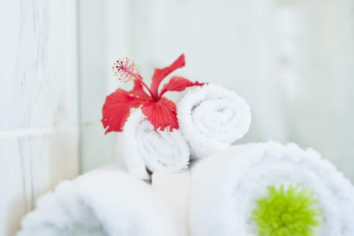 superior room | bathroom amenities | rainfall showerhead, designer toiletries, hair dryer, towels